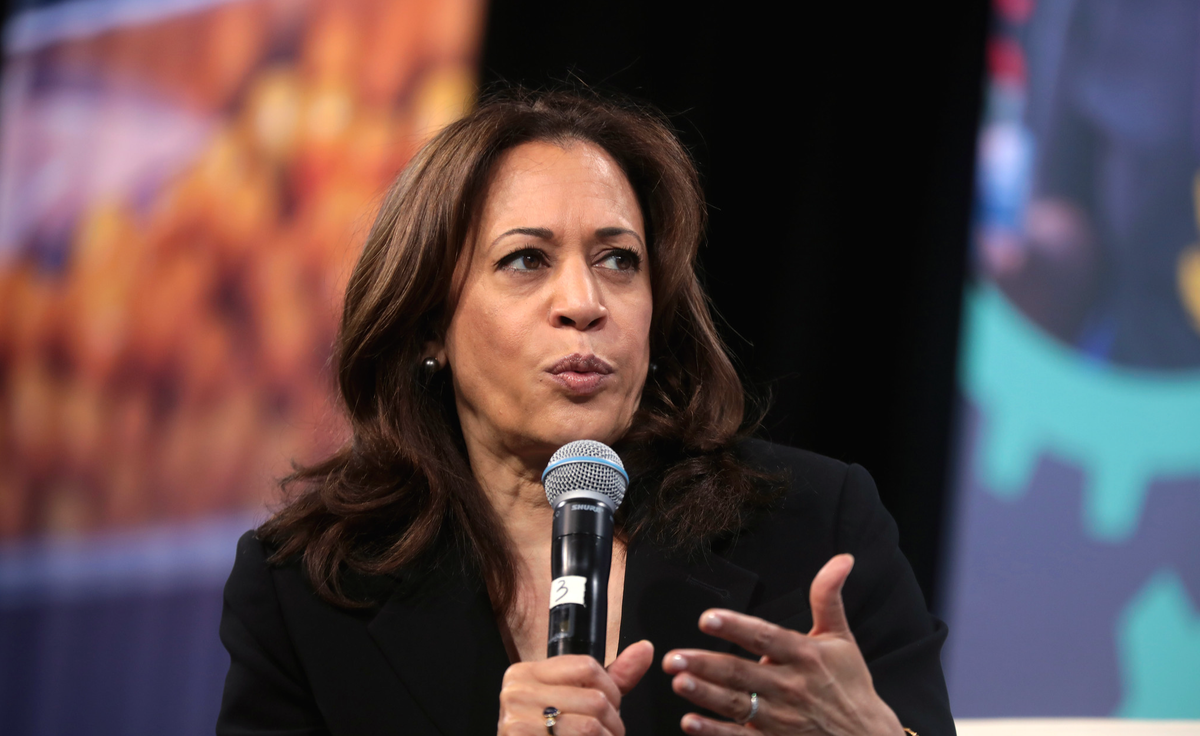 U.S. Senator Kamala Harris in 2019 | Gage Skidmore, Flickr