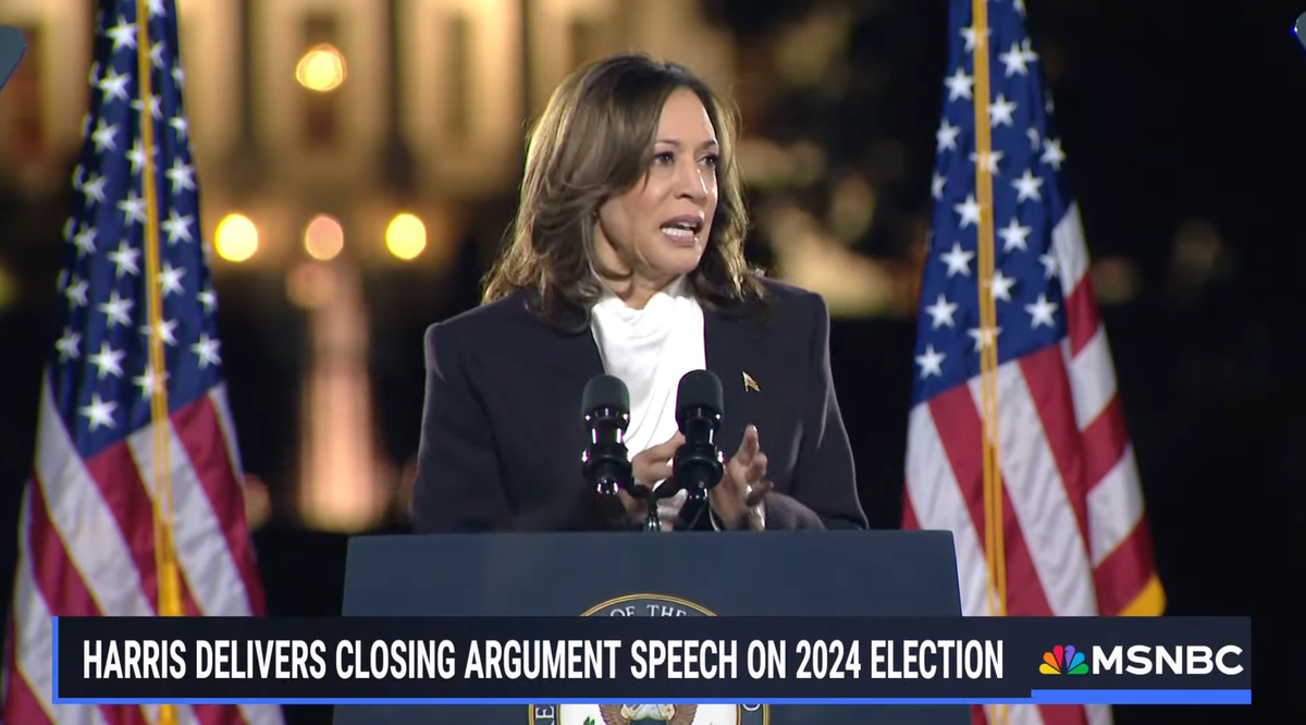 Harris delivers a speech in Washington D.C. Screenshot: MSNBC / YouTube 