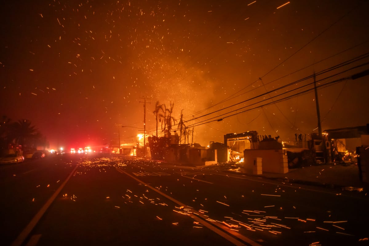 Strong winds blow embers in the Palisades wildfire on January 8. (Photo by Apu Gomes/Getty Images)