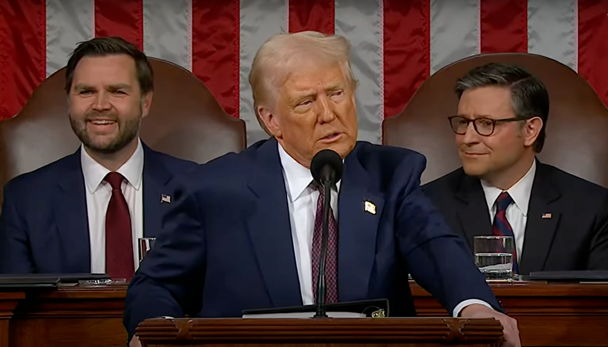 President Donald Trump addresses Congress | YouTube Screenshot, The Wall Street Journal