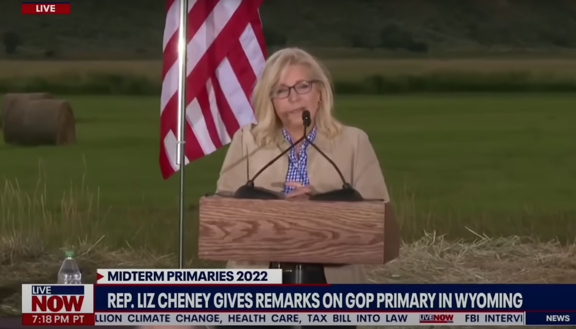 Liz Cheney loses.