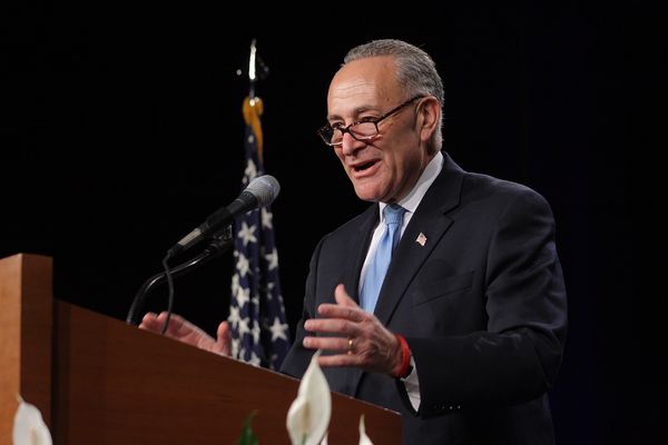 Democrat Chuck Schumer will remain Senate majority leader. Photo: Gregory Hauenstein / Flickr